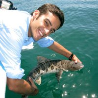 Andrew Nosal (@andrewnosal) 's Twitter Profile