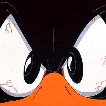 elpatolin1's profile picture. 