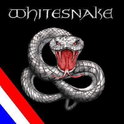 Porque los sueños se pueden hacer realidad: Queremos a Whitesnake en Paraguay!!!
https://t.co/Vl6fopmvHr