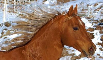 lyjohnson89's profile picture. I love Jesus!