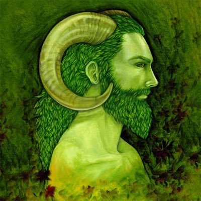 #Pagan #Witch #Greenman #Music #Drummer #Weed #Vaping #Gamer #Movies #Fuckthesystem #spoonie Living with #Lupus one day at a time, and it sucks!