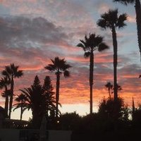 Andre Vergara (@dreday613) 's Twitter Profile