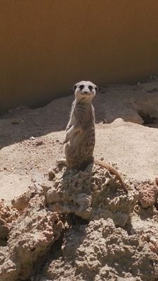 たちばなさんのプロフィール画像