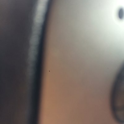 MiaVidmar1's profile picture. 