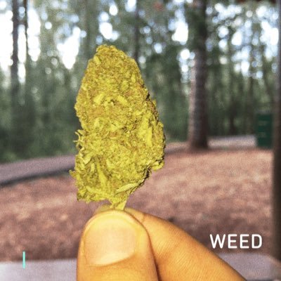 Everyone needs a little weed in their life