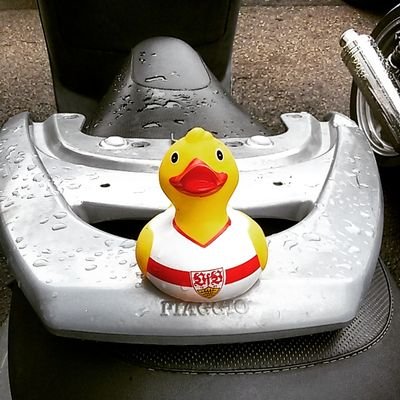 ridda711's profile picture. schwabilienerin.
vfb stuttgart und azzurri