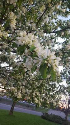 UnofficialVetT's profile picture. 