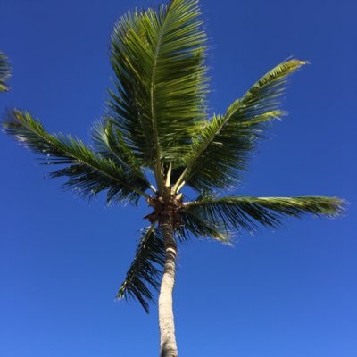 olifwi's profile picture.
