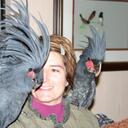 paula thomson - @polliewobble - Twitter