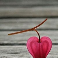 حامد الفقيه العجيلي (@hamed95311) Twitter profile photo