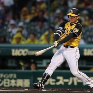 阪神タイガース 髙山俊 Spurs 競馬 大相撲 横山ルリカさん推しです。