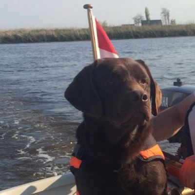 GondaFrans68's profile picture. 