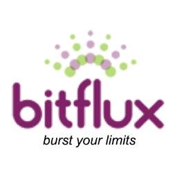 BitFlux