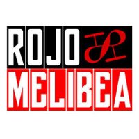 Rojo Melibea (@rojomelibea) 's Twitter Profile