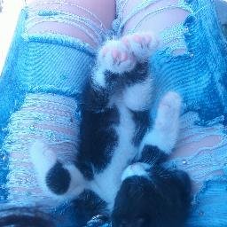 MisaBeaty's profile picture. 