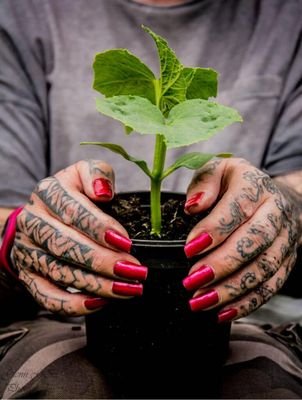 Plant Lover. Garden Creator. Make-up and Tattoo enthusiast. Autistic. ADHD. Genderqueer. Husband & Dad. Dog Daddy. He/Him.