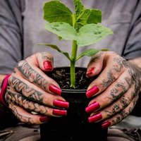 Alan Gardner 💙(@autisticgardner) 's Twitter Profile Photo