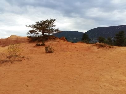 emmanuelleclim1's profile picture. 