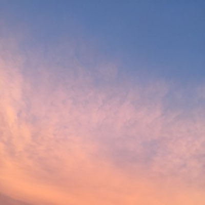 OooCa0's profile picture. 