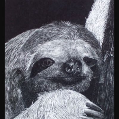 DHPointer_'s profile picture. 