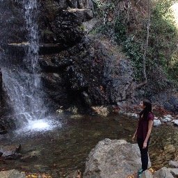 liz_psomas's profile picture. 