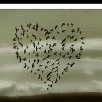 ❤️zeynep❤️ (@zeynep52150968) Twitter profile photo