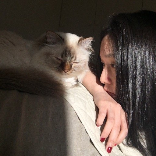 windsdiary's profile picture. pretend to be some pro.