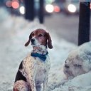 Vicky Jolly - @vickyjolly13 - Twitter