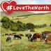 Follow Farmers (@follow_farmer) Twitter profile photo Follow Farmers (@follow_farmer) Twitter profile photo