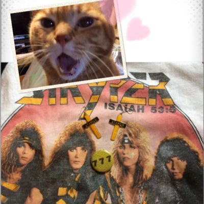 LOVE ♡CAT(=^・^=)、 80's HR/HM：especially STRYPER ( I Love STRYPER!!!) Robert Sweet お兄ちゃん推し♡ （Please do not download or share my photos on SNS！ ）WHITESNAKE,TNT..