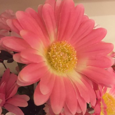 candycamero17's profile picture. Church goers #AwesomeGrandparents