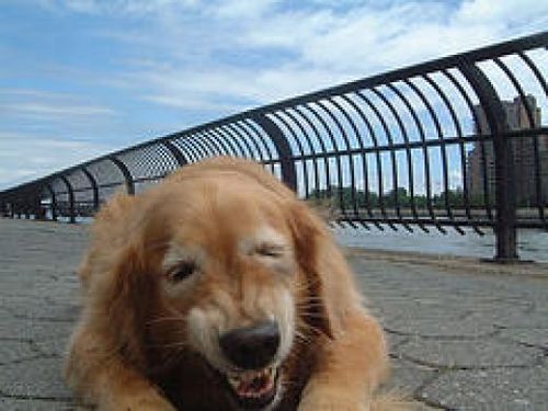 AnimeBLOGZ's profile picture. Bringing pleasure to women worldwide since 2007