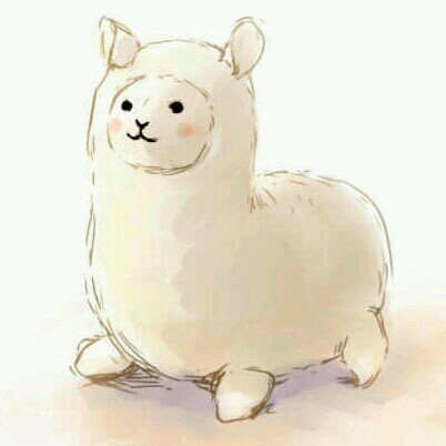 yorimarumaru Profile Picture