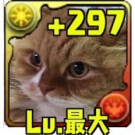 soil_momo's profile picture. ピアノ3歳から/現在はバイオリンメイン27歳から計6年（中断期間有）/アイコンは13年8ヶ月一緒にいたスコティッシュフォールドロングヘアのももちゃん/🐈もも寧々のん/7度目の体外受精で2020年11月30日予定帝王切開にて長男を出産/育休中に病気発覚し投資に目覚める/🇯🇵🇺🇸株投信💖/経理のお仕事してます