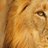 hanantha007's profile image