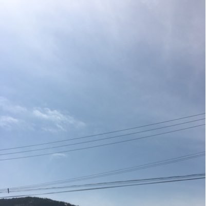 gengen3912's profile picture. 時々歌をnanaに投稿したりします。下手ですが頑張って歌っているのでよろしくお願いします(´°▽°｀) 現在相方、コラボなど募集中なので是非お誘いください( ﾟдﾟ)ｸﾜｯ  無言フォローすみません(´；ω；｀)