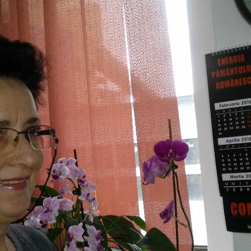 merry_tech's profile picture. Project coordinator-Online Business