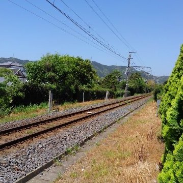 Ja619aWl's profile picture. 小金井緑中→SDG→MU政治卒（元摩耶実）→社会人