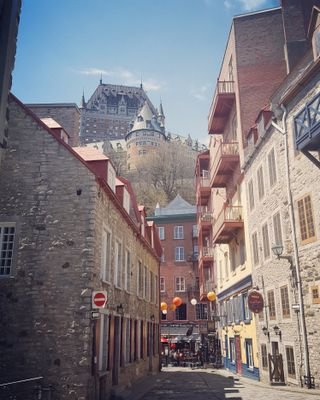 kimtet22's profile picture. 