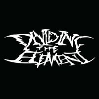 Dividing The Element (@dividing263) 's Twitter Profile