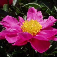 Nori（情報ブロイラー） (@bgnori) Twitter profile photo