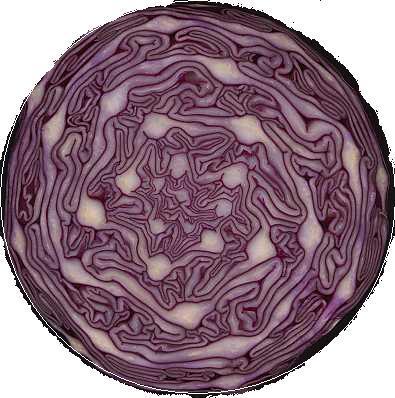 RedCabbage's profile picture. Trading is like cooking, you cannot get a Michelin Star just by following a recipe. You need a really deep understanding the ingredients and method