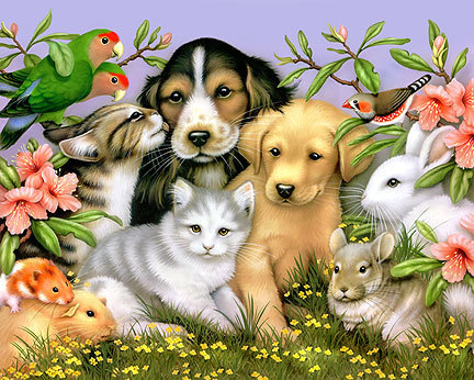 Pets alerts, information about pets news,updates,diet,food,medicine,care,toys and more. we love pets!