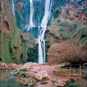 yahya13255029's profile picture. 