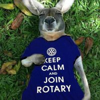 Mole Valley Rotary (@mvrotary) 's Twitter Profile