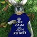 Mole Valley Rotary (@MVRotary) Twitter profile photo