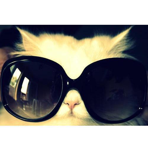 MalvinaKruela's profile picture. Escolhi ser pessoa de bem! Ignoro tudo o que for imoral, desonesto, insano, ilegal ou alienante. Quem aprende o conceito de RESPEITO, aprende como viver em paz!