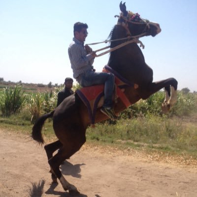 DDGOHIL's profile picture. कृष्वंतो विश्र्वमार्यम्, आर्यावर्त, अहं ब्रह्मास्मि, गौत्तम गौत्रोत्पन्नोऽहम्