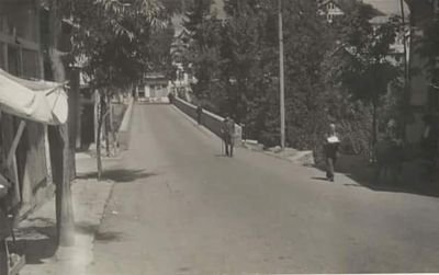 ardasalinuri's profile picture. emekli subay MHP .Retired army officer