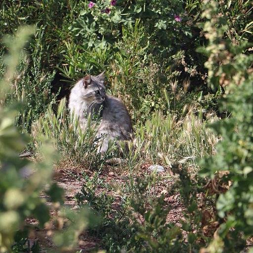 WestWordArizona's profile picture. The write editor.... Writer, editor, English tutor, with beading, wirework, and photography hobbies.